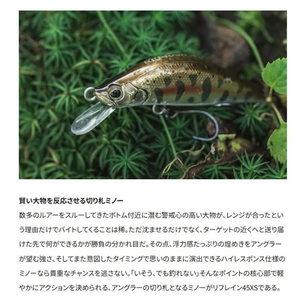 CARDIFF リフレイン 45XS BOTTOM Spec